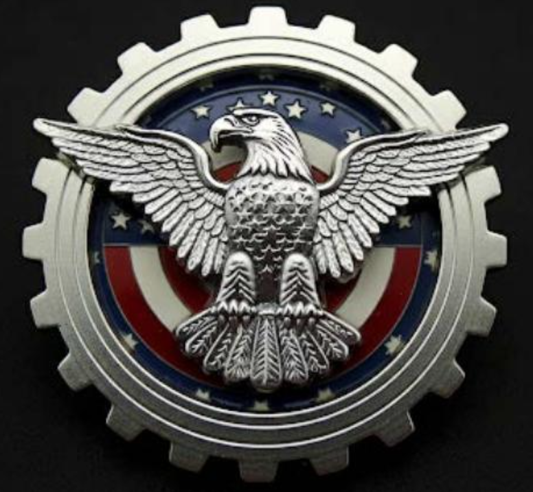 Operation Fund Majestic Eagle Pin